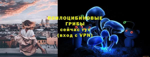 соль ск Горно-Алтайск