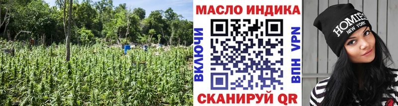 Купить где  Зеленокумск  Дистиллят ТГК THC oil 